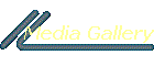 Media Gallery