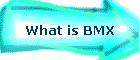 What is BMX
