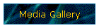Media Gallery