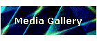 Media Gallery