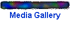 Media Gallery