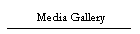 Media Gallery