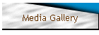 Media Gallery