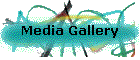 Media Gallery