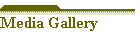 Media Gallery