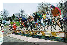 Gate Practice at Flemington